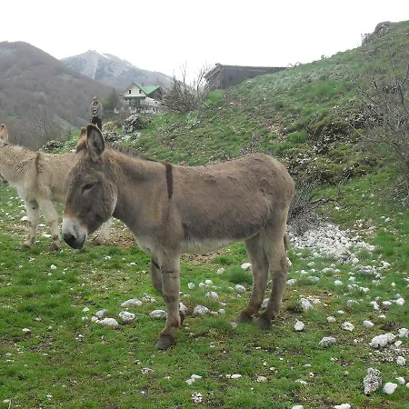 Valle Del Lupo