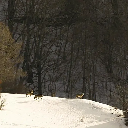 Valle Del Lupo Pescasseroli